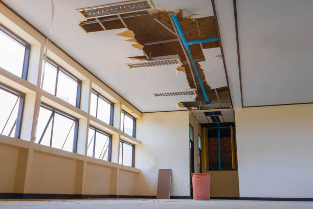 Best Water damage contractors near me  in Valdosta, GA