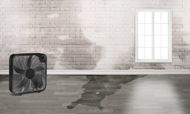 24/7 water damage repair in GA