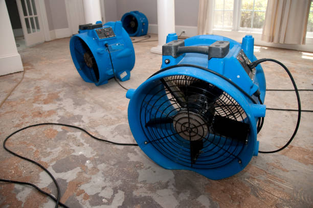  Valdosta, GA Water damage restoration Pros
