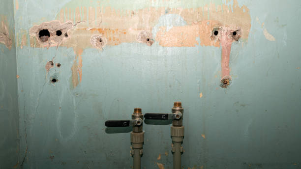 Best Ceiling water damage repair  in Valdosta, GA