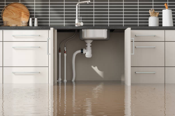 Best Water damage restoration insurance claims  in Valdosta, GA