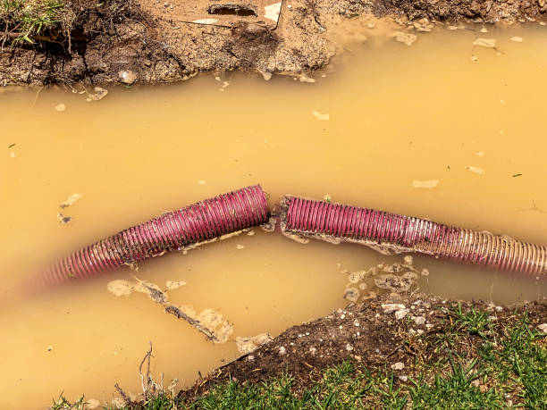 Carpet water damage restoration in GA
